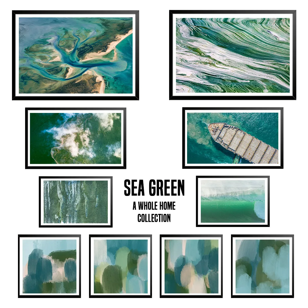 Sea Moss Custom Art